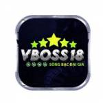 vboss18com Profile Picture