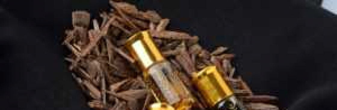 Bisma saad Cover Image