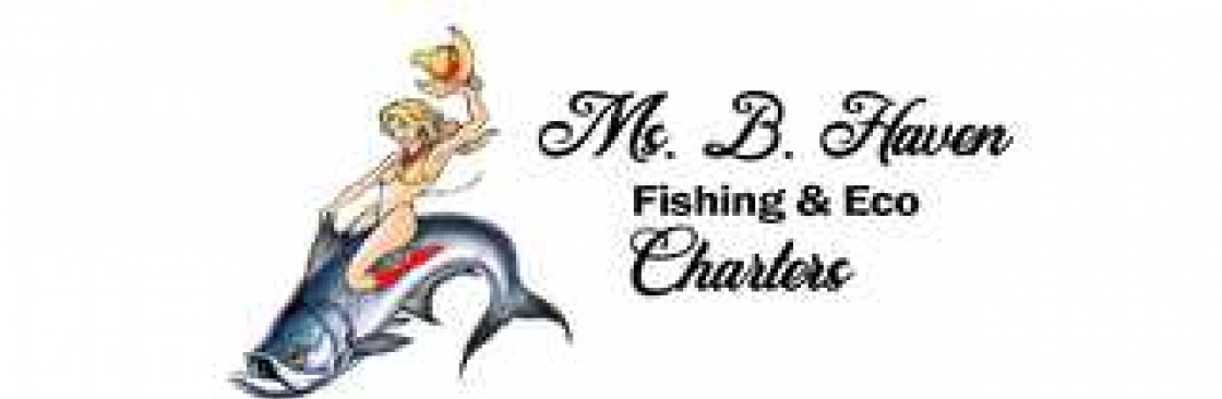 Ms B Haven Fishing And Eco Charters Cover Image
