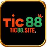tic88site Profile Picture