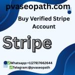 Buy Verified Stripe Account Profile Picture