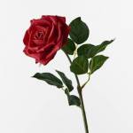 seema banglore Profile Picture