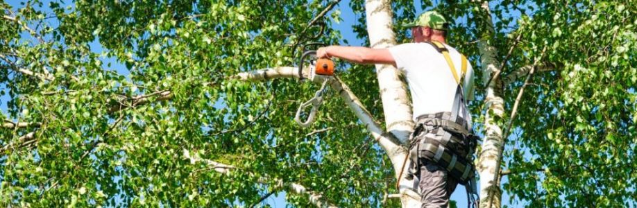 Jacob Stone Cover Image