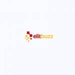 ElitBuzz Technologies Ltd Profile Picture