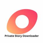 Private Story Viewer Profile Picture