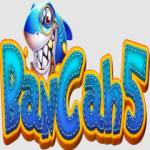 Bancah5 Profile Picture