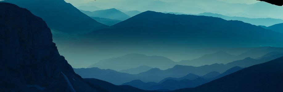 Bold Wolf Cover Image