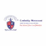 Cambridge Montessori Global Profile Picture