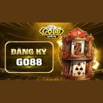 dangkygo881 Profile Picture