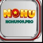 Nohu909 Profile Picture
