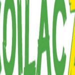 Xoilac TV Profile Picture