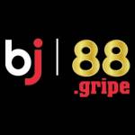 BJ 88 Profile Picture