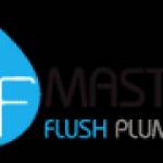 Master Flush Plumbing Profile Picture