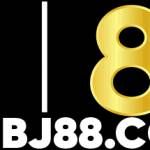 BJ 88 Profile Picture