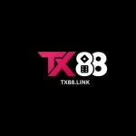 TX88 link Profile Picture