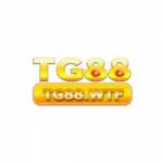 tg88wtf Profile Picture