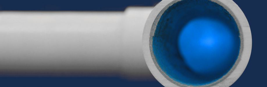 Pro Jet Pipe Relining Cover Image