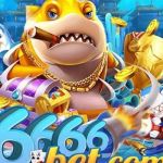 666bet Profile Picture