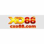 XO88 Cong Game Ca Cuoc Profile Picture