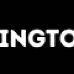 The Mt Washington Group Profile Picture