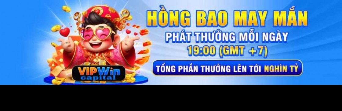 Vipwin capital Cover Image