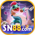 sn88 Profile Picture