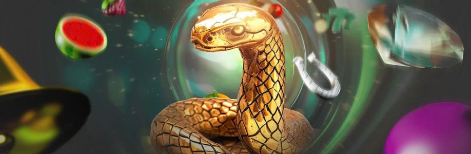 BET365 ngo Cover Image