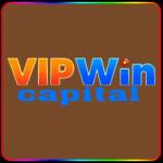 Vipwin capital Profile Picture