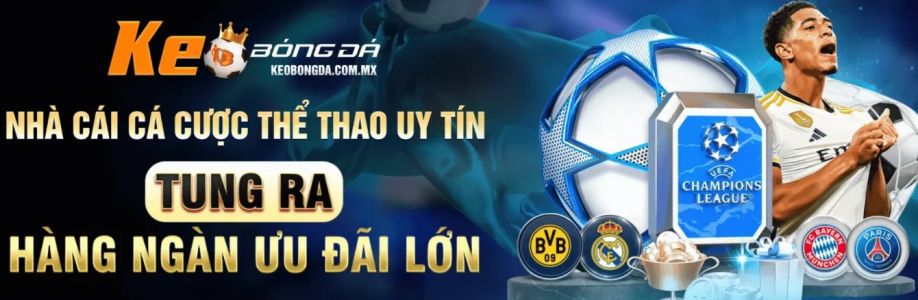 Tran Dong Hai Chuyen Gia Soi Keo Cover Image