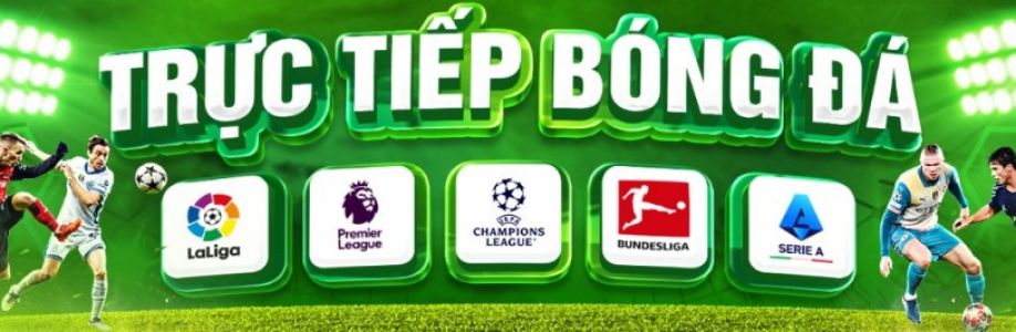 Mollysmovementcom gia mao Cover Image